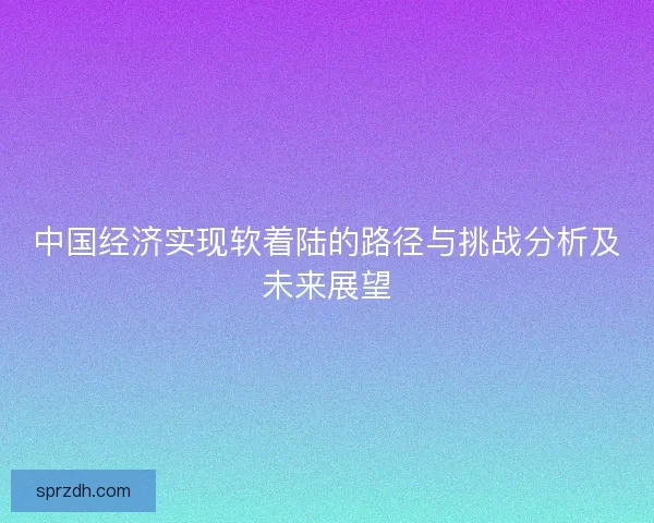 中国经济实现软着陆的路径与挑战分析及未来展望